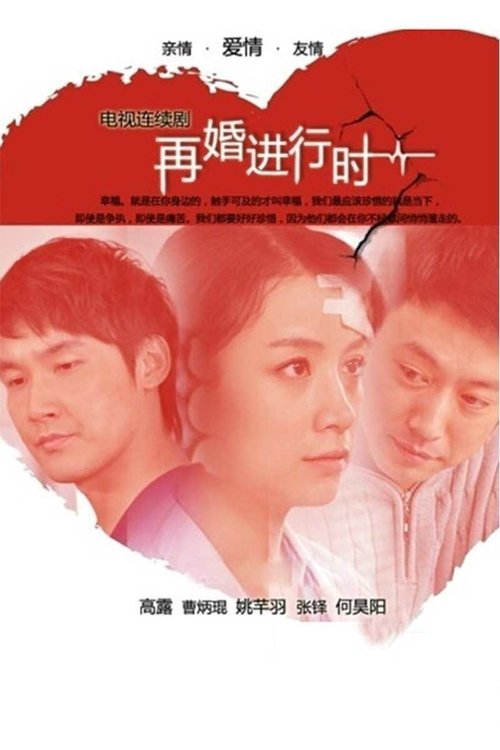 再婚进行时 tv show poster