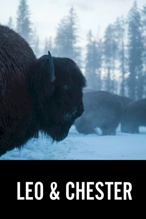 Leo & Chester movie poster