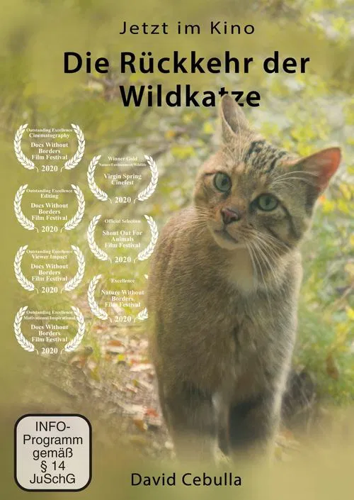 The Return of the Wildcat movie poster