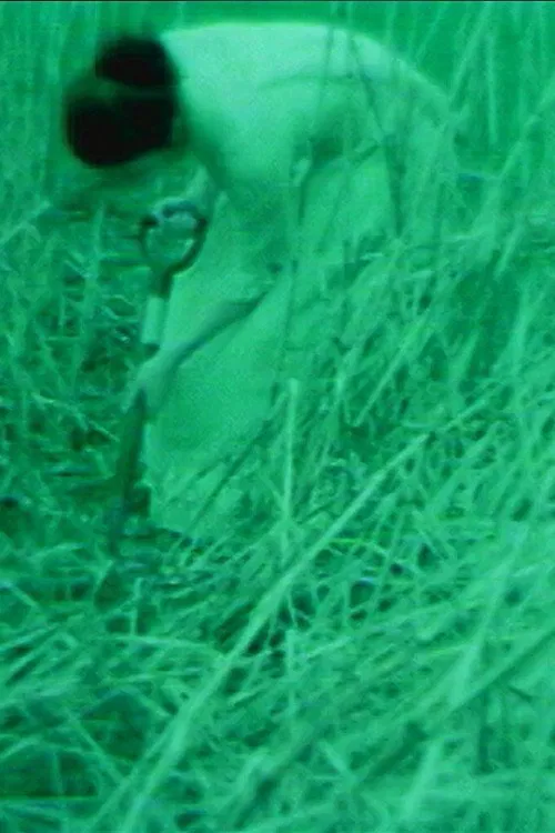 Poster do filme Dear God Please Save Me