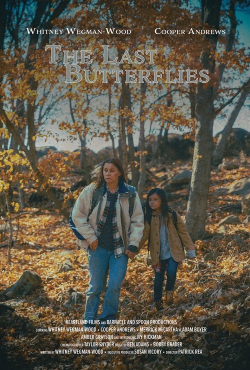 The Last Butterflies movie poster