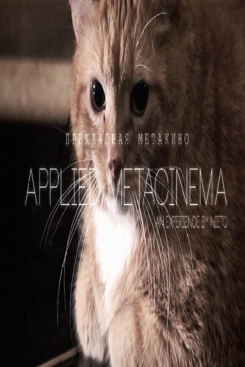 Metacinema appliqué movie poster