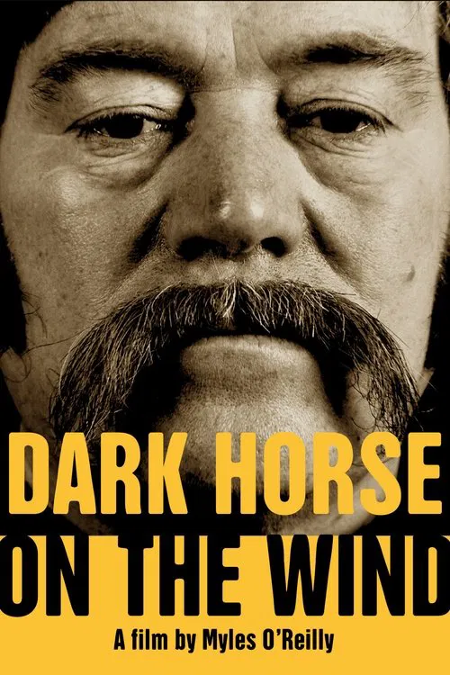 Dark Horse on the Wind movie poster