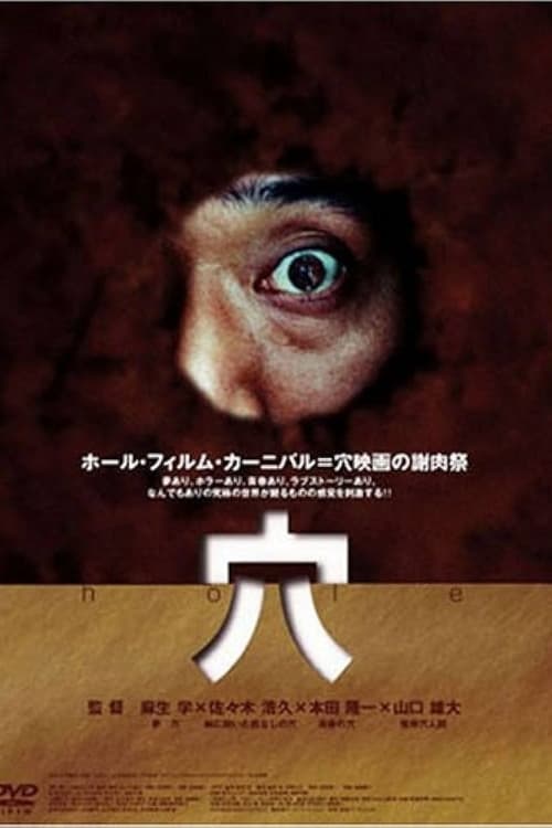Hole movie poster
