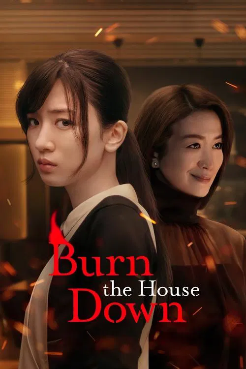Burn the House Down tv show poster