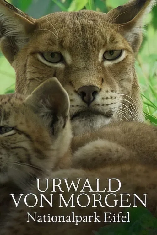 Poster do filme Urwald von morgen – Nationalpark Eifel