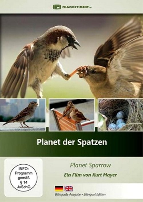Planet der Spatzen movie poster