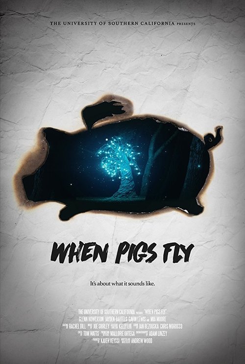 When Pigs Fly movie poster