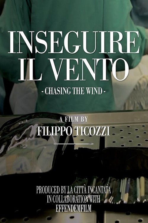 Chasing The Wind movie poster
