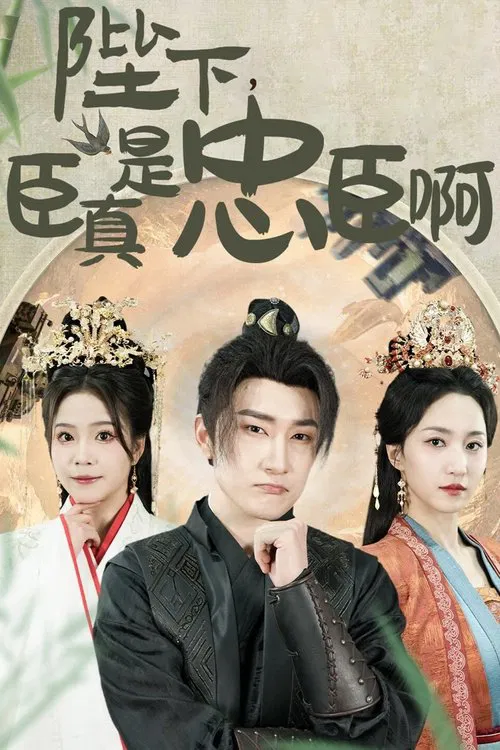 陛下，臣真是忠臣啊 tv show poster