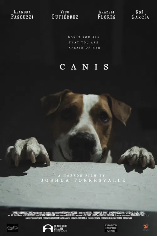 C Λ N I S movie poster