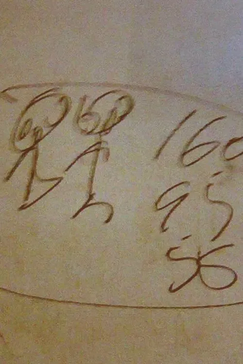 Yangtze Scribbler movie poster