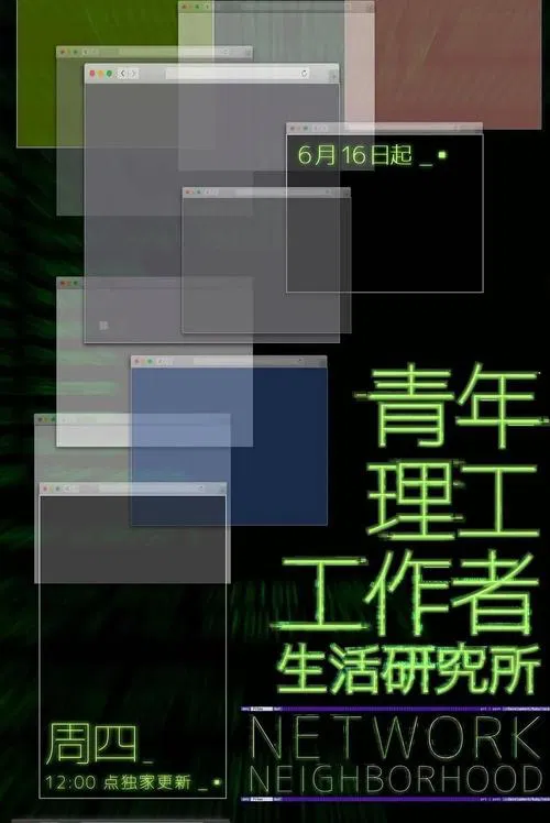 Network Neighbourhood tv show poster