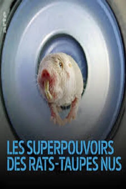 Poster do filme Nacktmulle - Superhelden der Forschung
