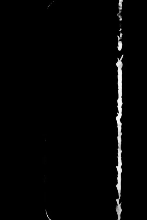 Nude Descending movie poster