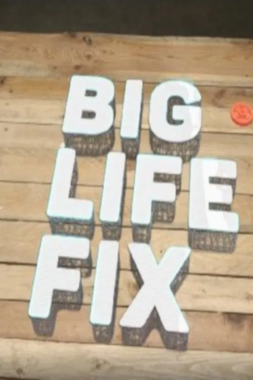 Big Life Fix tv show poster