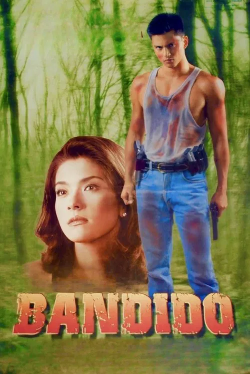 Poster do filme Bandido