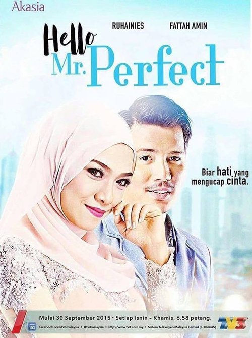 Hello, Mr. Perfect! tv show poster