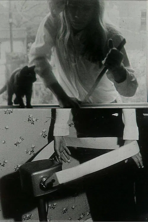 Poster do filme We Hope You Enjoy This Film