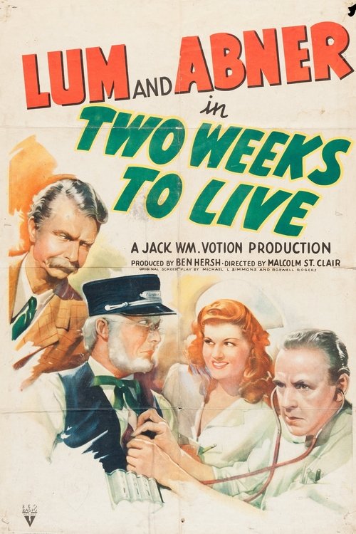 Two Weeks to Live movie poster