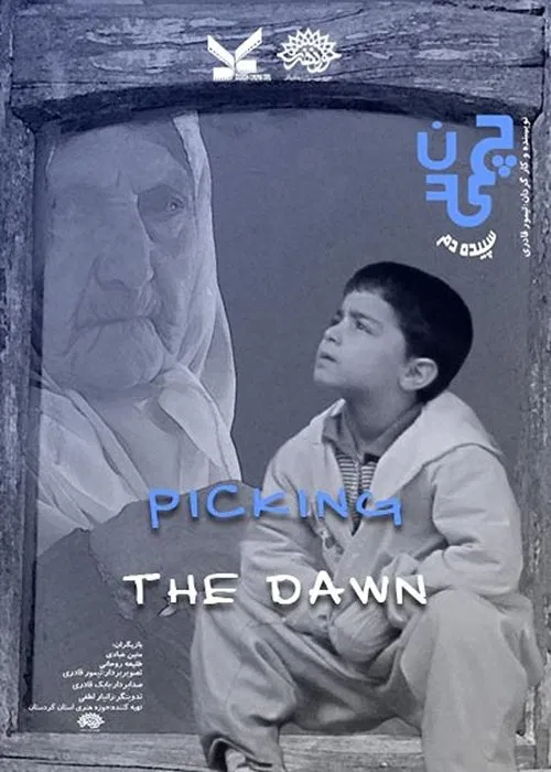 Picking the Dawn movie poster