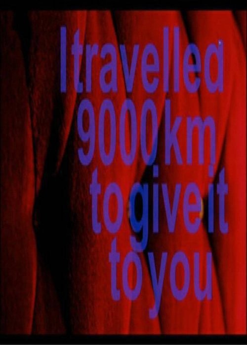 I Travelled 9000 km To Give It To You movie poster