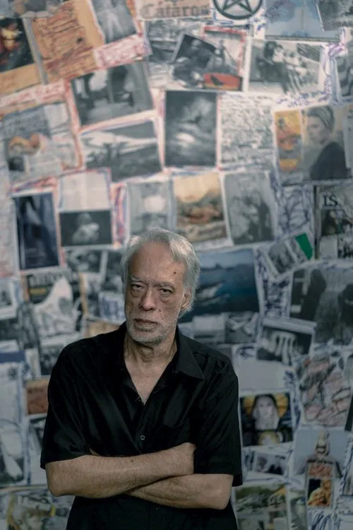 Fausto Fawcett na Cabeça movie poster