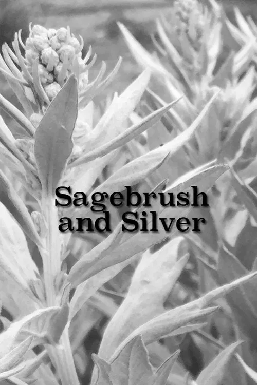 Sagebrush and Silver movie poster
