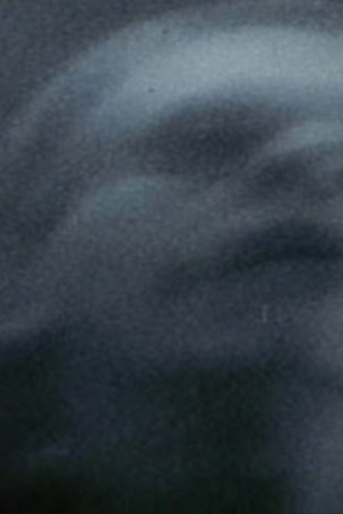 Poster do filme Frank Stein