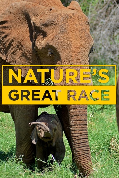 Nature's Epic Journeys tv show poster