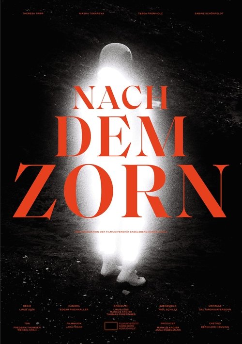 Nach dem Zorn movie poster