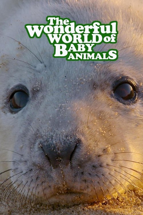 The Wonderful World of Baby Animals tv show poster