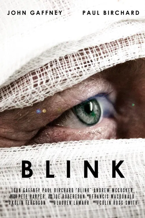 Blink movie poster