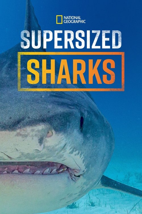 Supersized Sharks movie poster