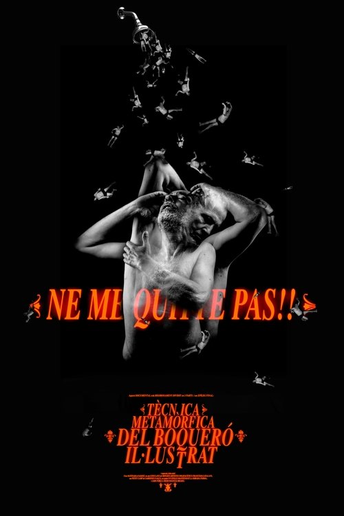 Tècnica Metamòrfica del Boqueró Il·lustrat movie poster