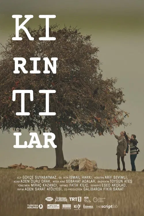 Kırıntılar movie poster