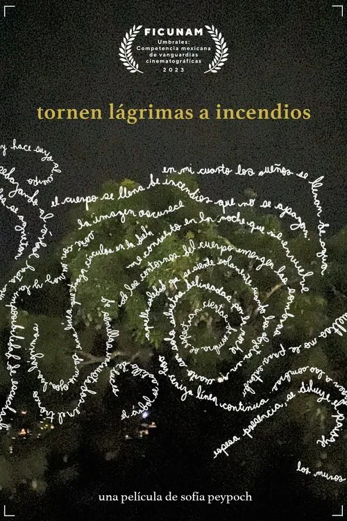 then turn tears to fires movie poster