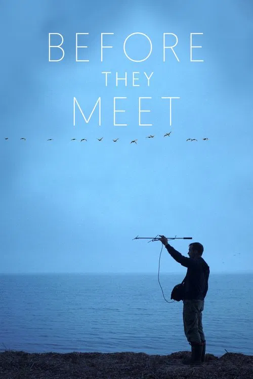 Before They Meet movie poster