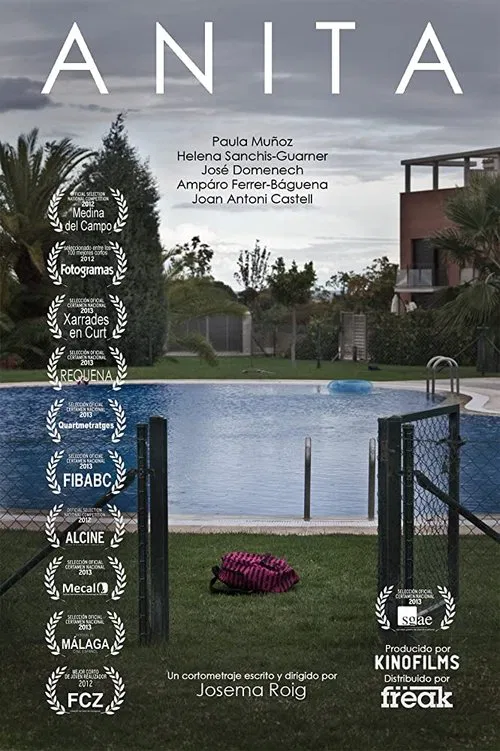 Anita movie poster