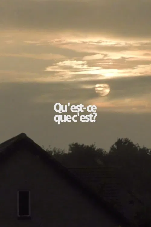 Qu'est-ce que c'est? movie poster