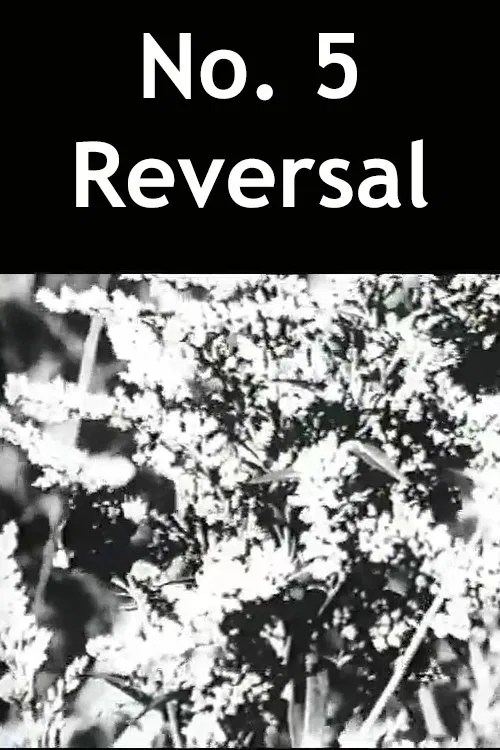 No. 5 Reversal movie poster