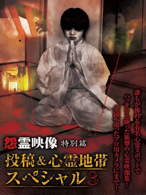 Poster do filme Grudge Spirit Footage Special Edition: Posted & Haunted Area Special 3