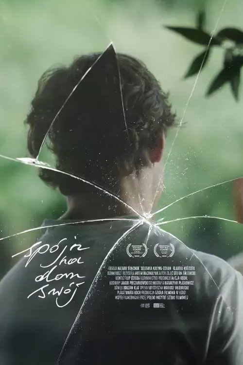 Poster do filme Look Homeward