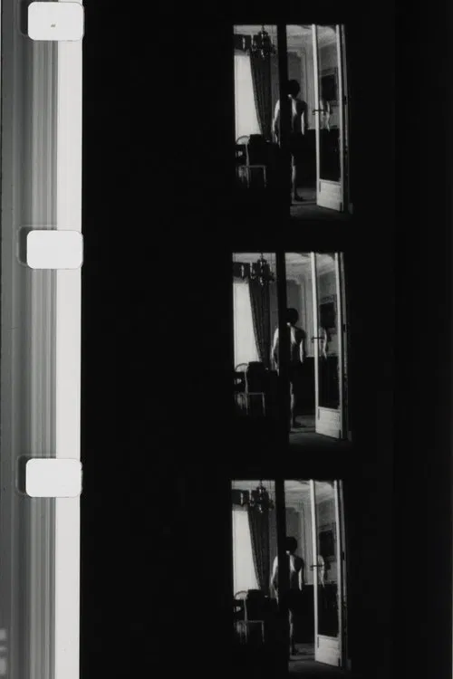 Autoportrait en blanc et en noir movie poster