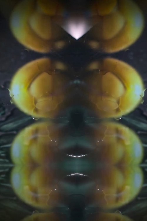 Poster do filme Howe Are You Island ?