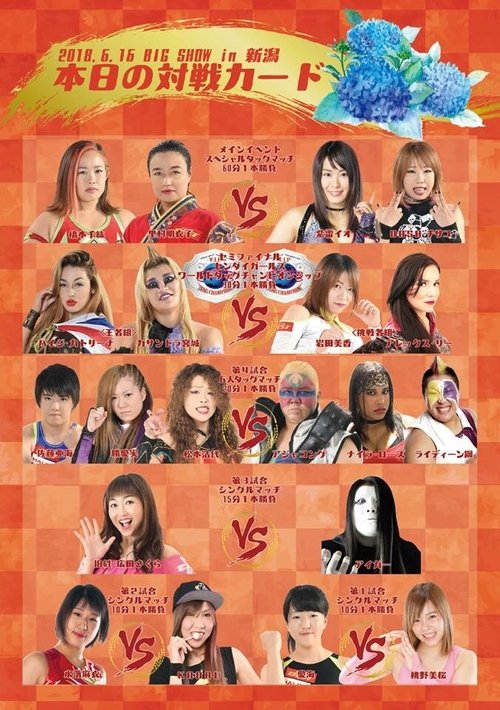 Sendai Girls Joshi Puroresu Big Show 2018 In Niigata movie poster
