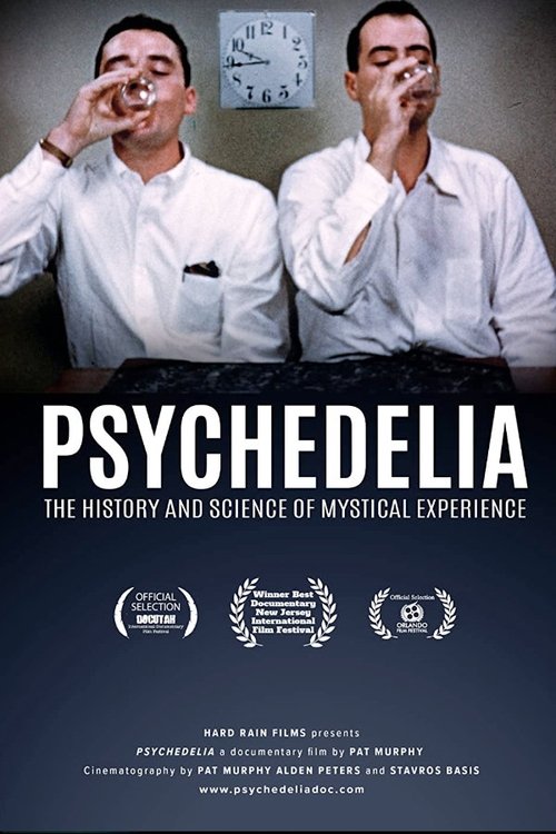 Psychedelia: The History of Science and Mystical Experience movie poster