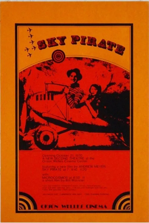 The Sky Pirate movie poster