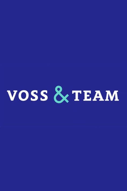 Voss & Team tv show poster