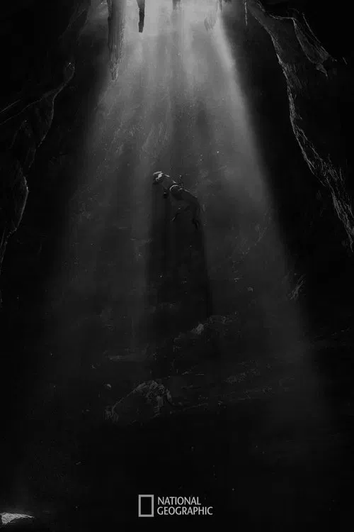 Wild Rio movie poster